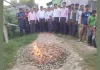 চিংড়িতে বিষাক্ত জেলি: জব্দ ও জরিমানা আদায়